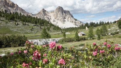 Excelsior Dolomites Life Resort Fanes Natur