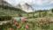 Excelsior Dolomites Life Resort Fanes Natur