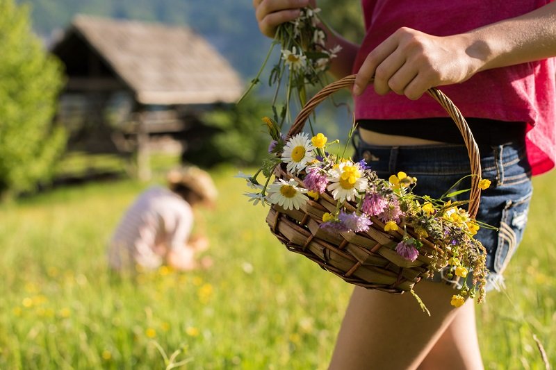 Landhof Irschen Wiesenblumen