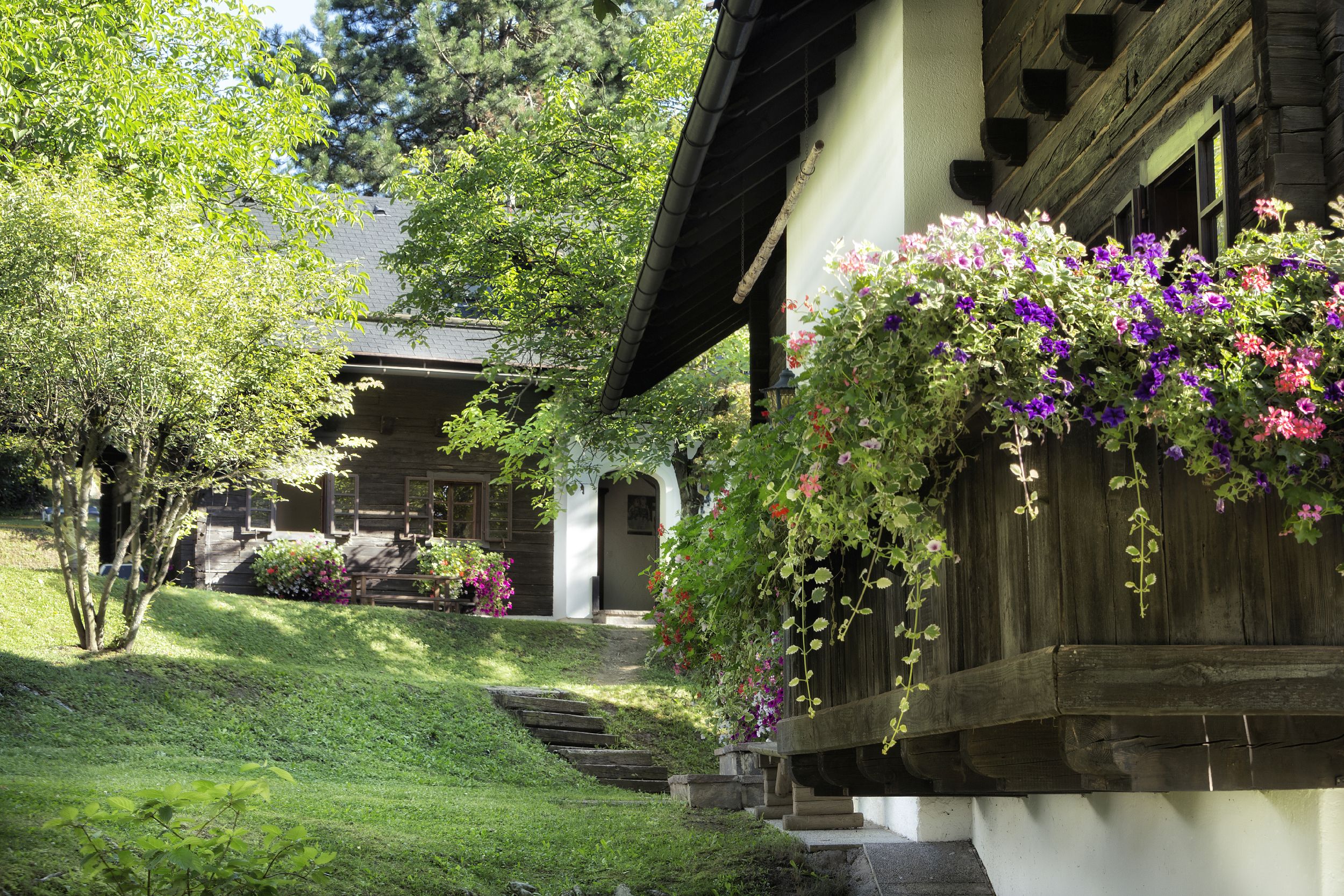 Naturel Hoteldorf Schönleitn