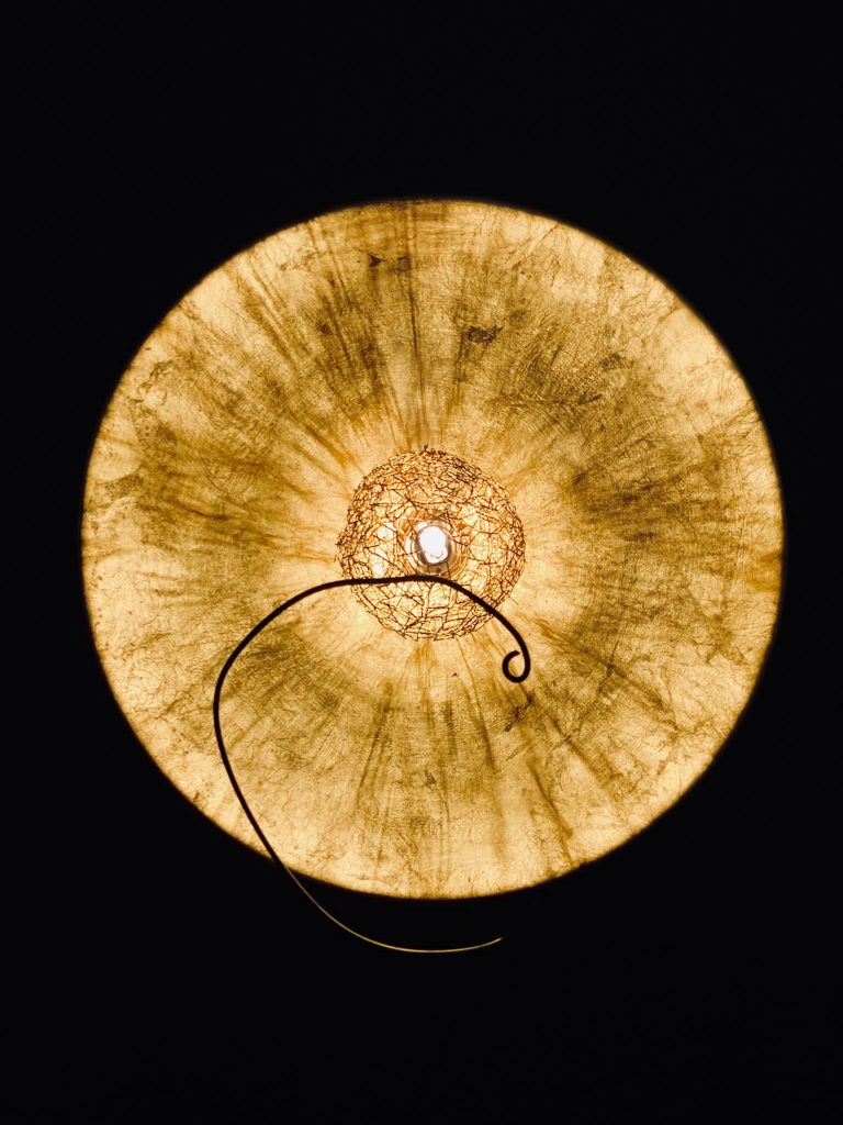 Besondere Lampe im Waltershof