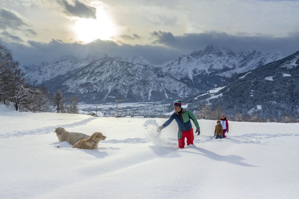 Winterwandern mit Hund