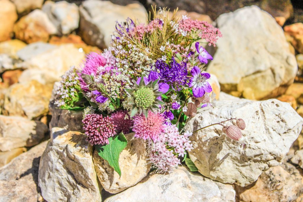 Blumen