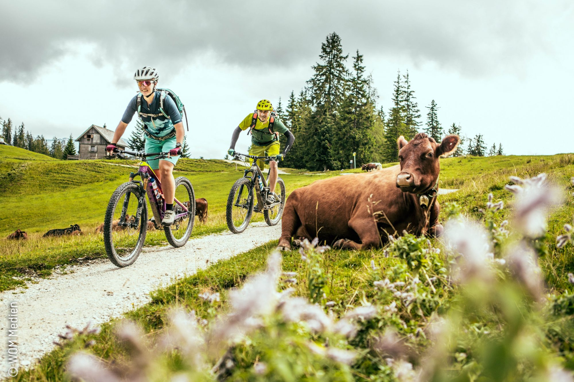 Der BergeSeen Trail im Salzkammergut