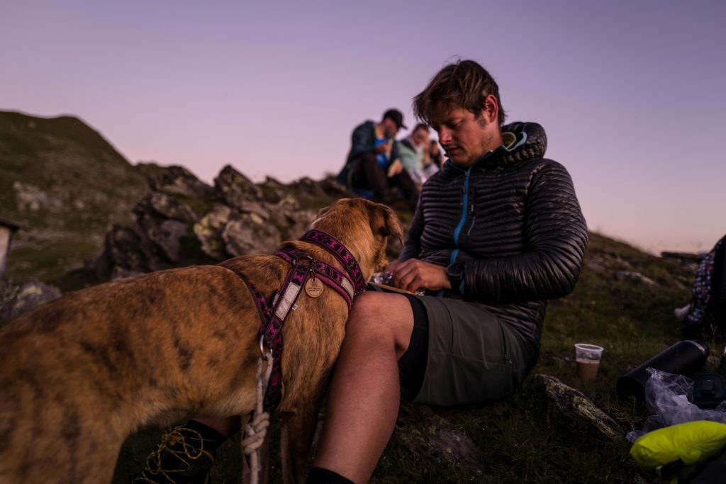 Sonnenaufgangswanderung mit Hund