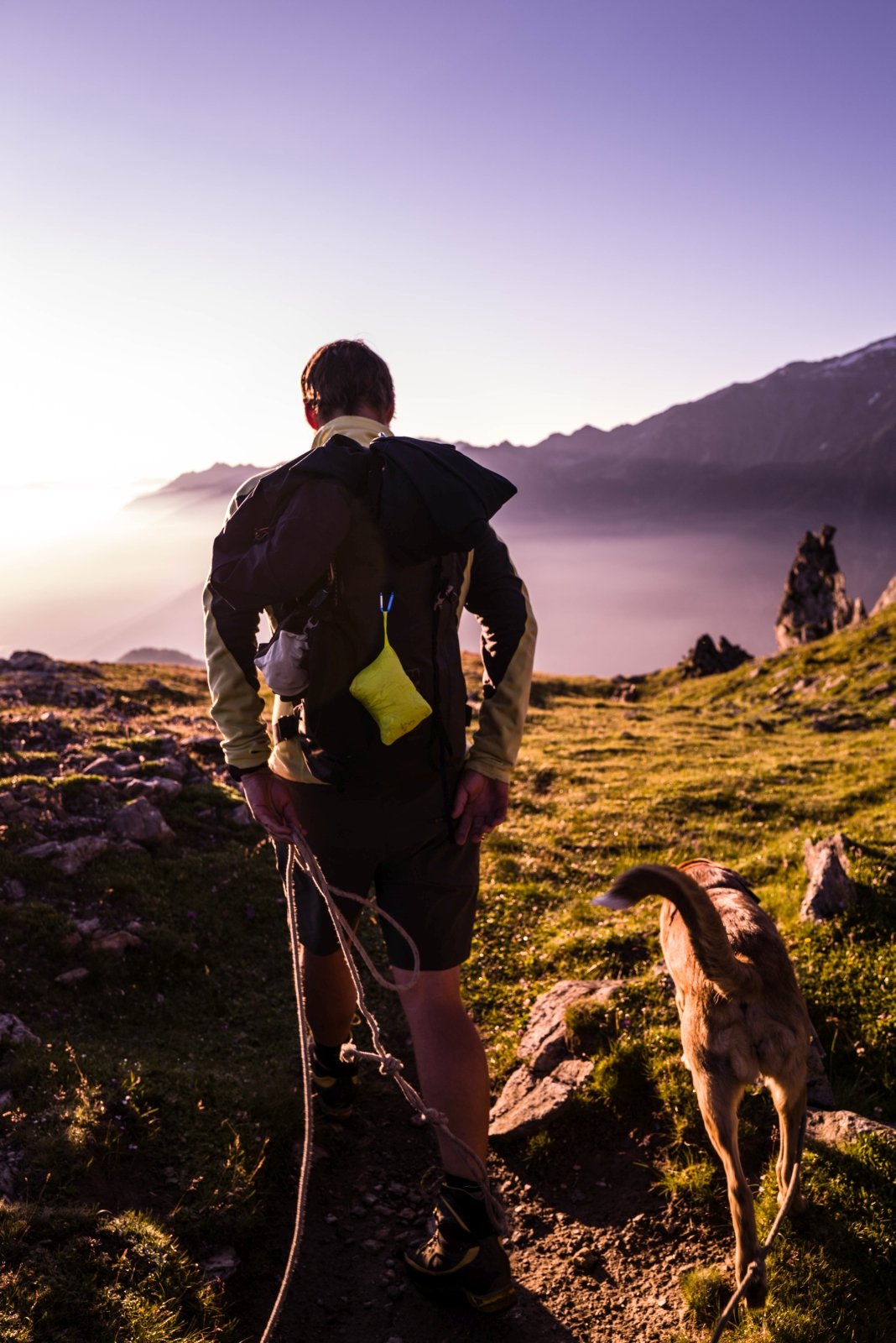 Sonnenaufgangswanderung mit Hund