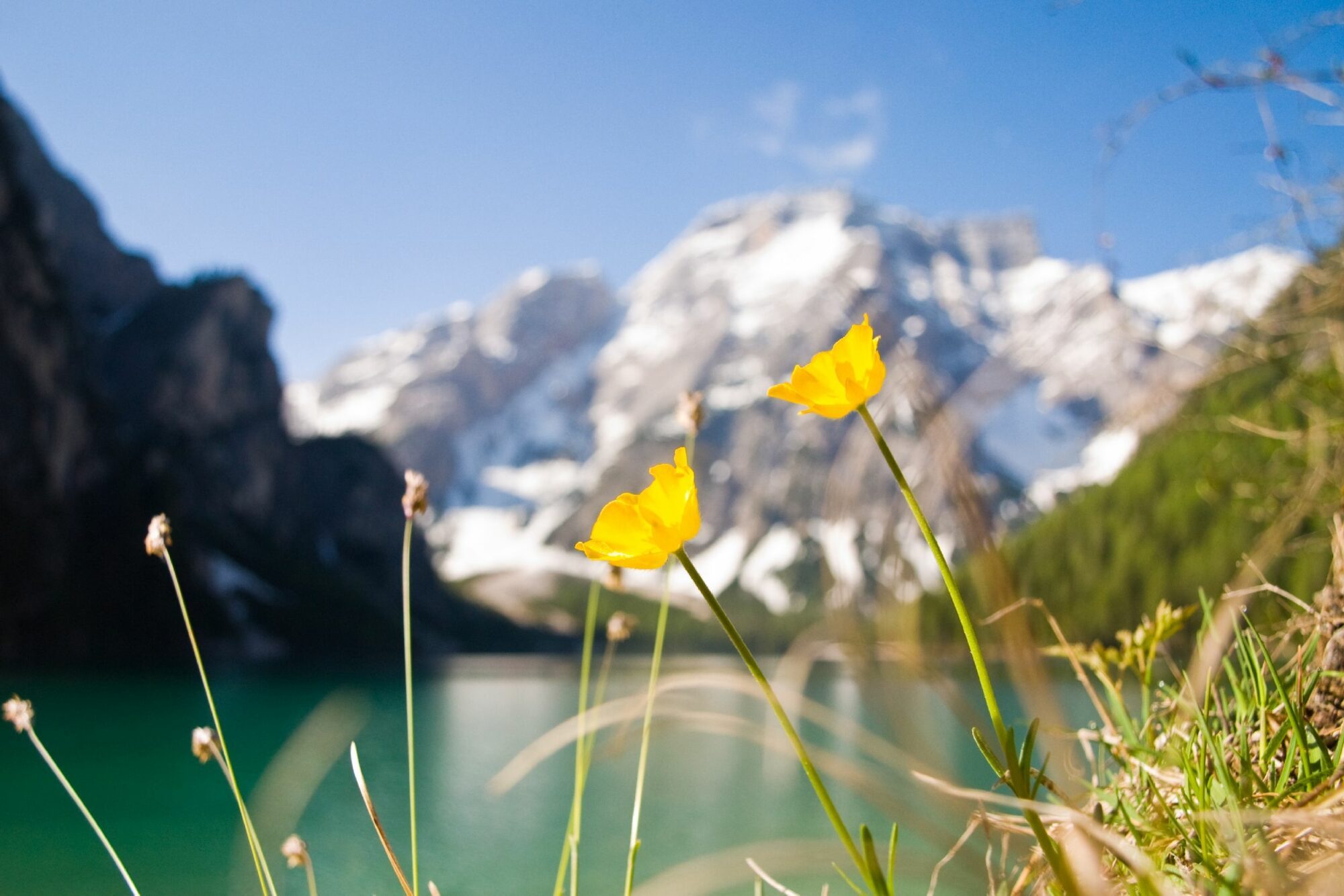 Hilfe der Urlaub naht! Nur wohin? Wir wissen, wo’s langgeht und finden gemeinsam mit dir das perfekte Urlaubshotel.