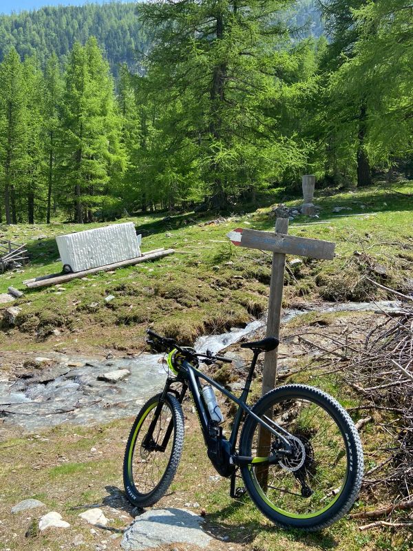 E-Bike auf Berg