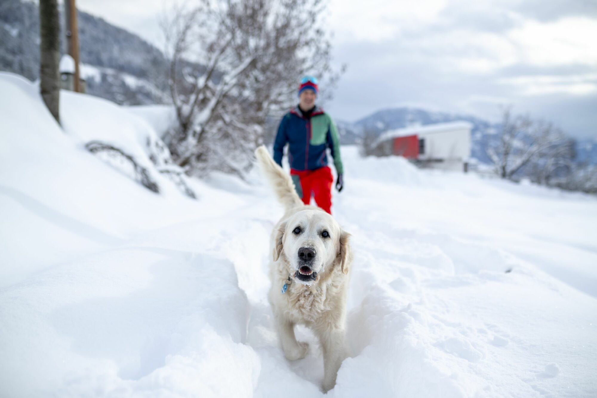 wanderhotels-winterwandern-mit-hund