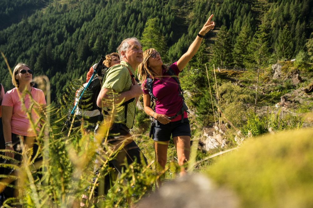 Wandern im Pflerschtal