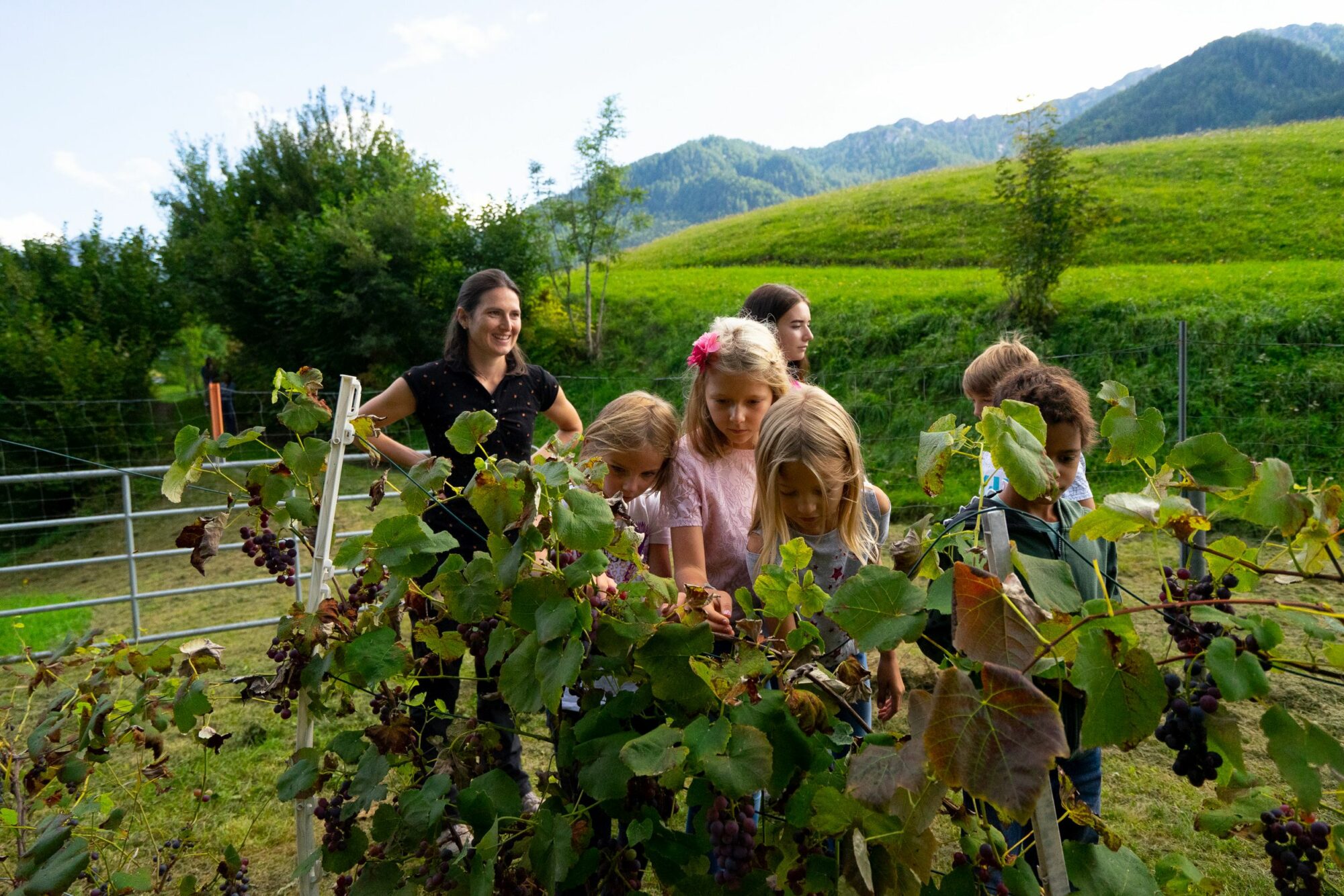 Traumhafter Urlaub mit Kindern in Kärnten