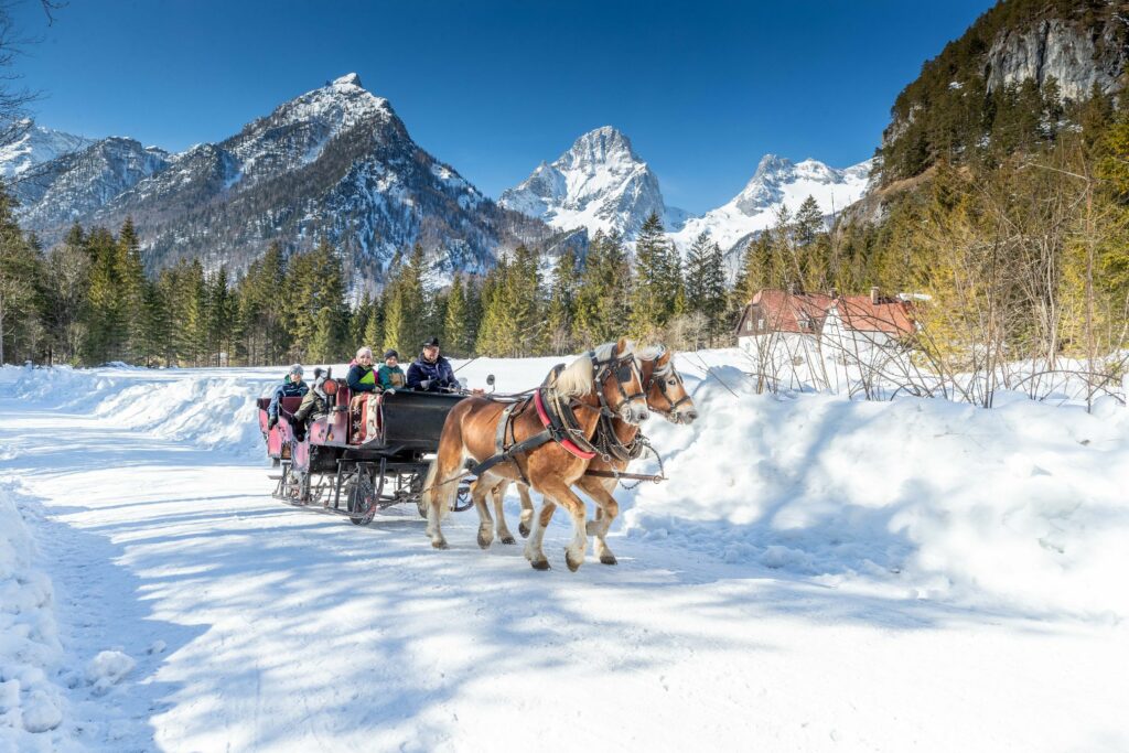 Wanderhotel Poppengut Pferdekutschenfahrt