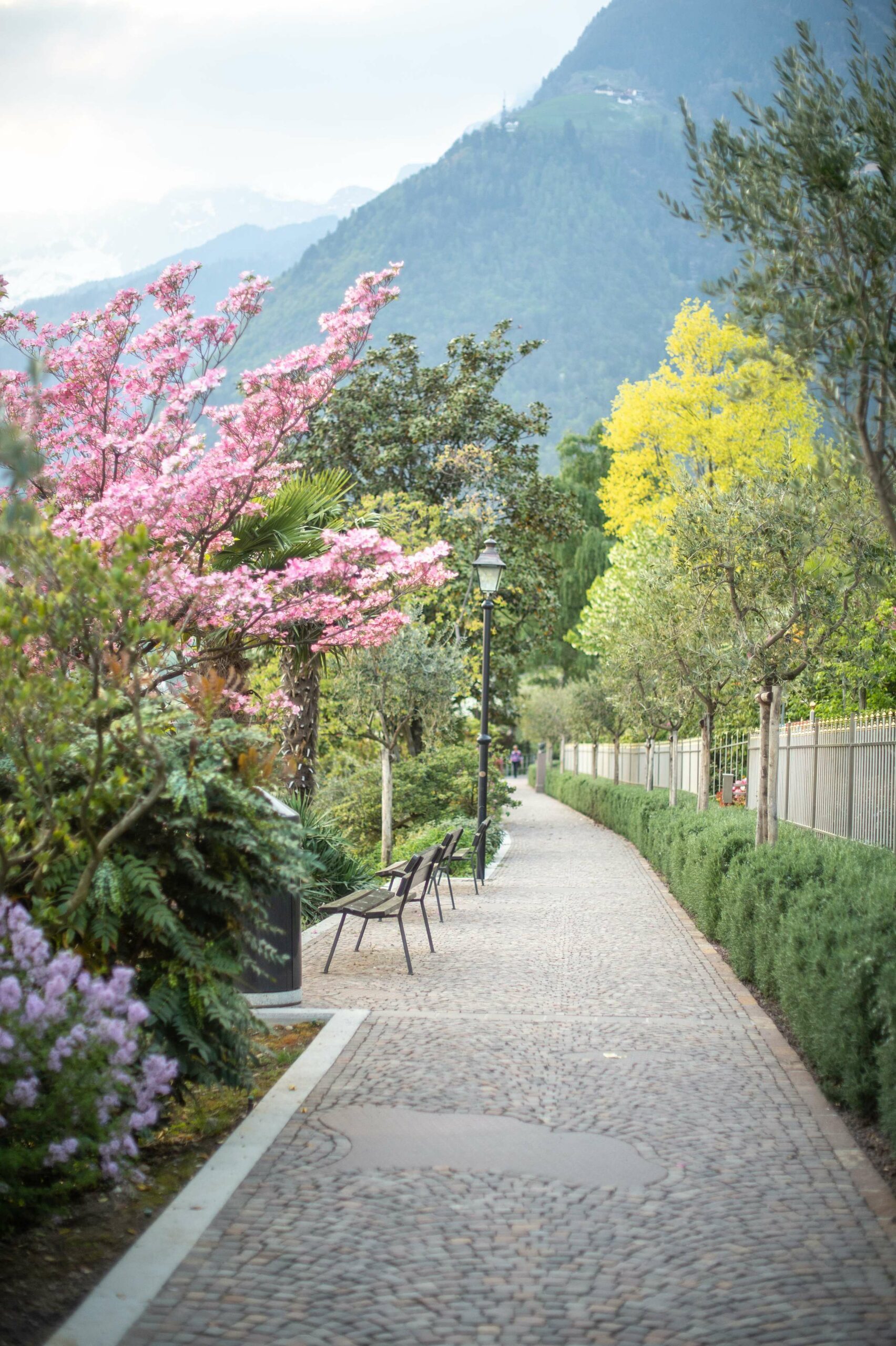 Golserhof Frühling