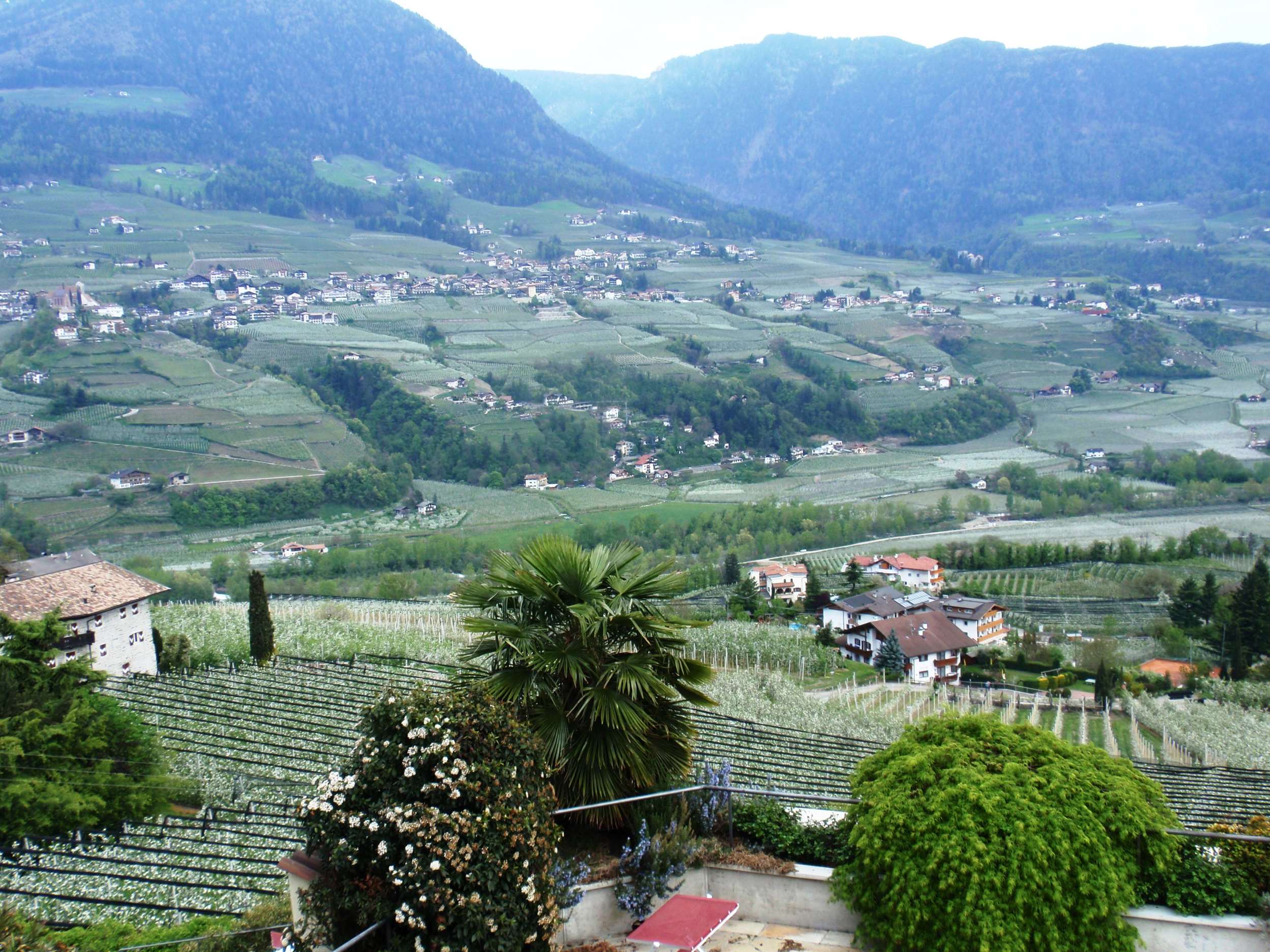 Golserhof Blick ins Tal Südtirol