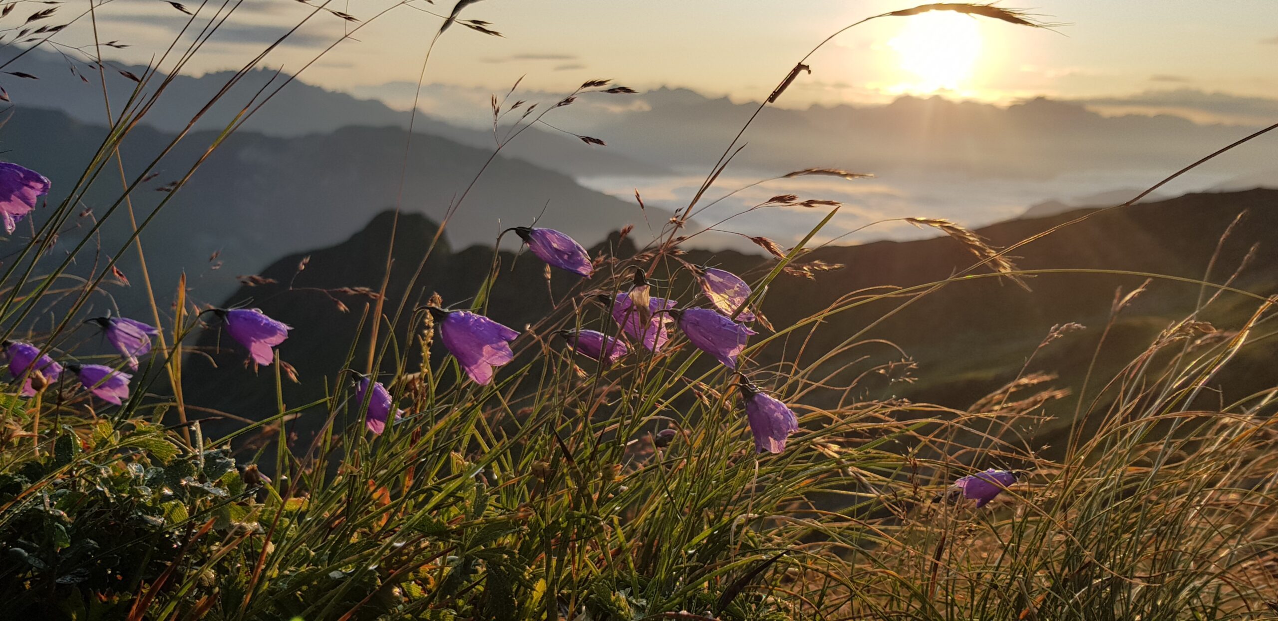 Sonnenaufgangswanderung Pfitschkopf