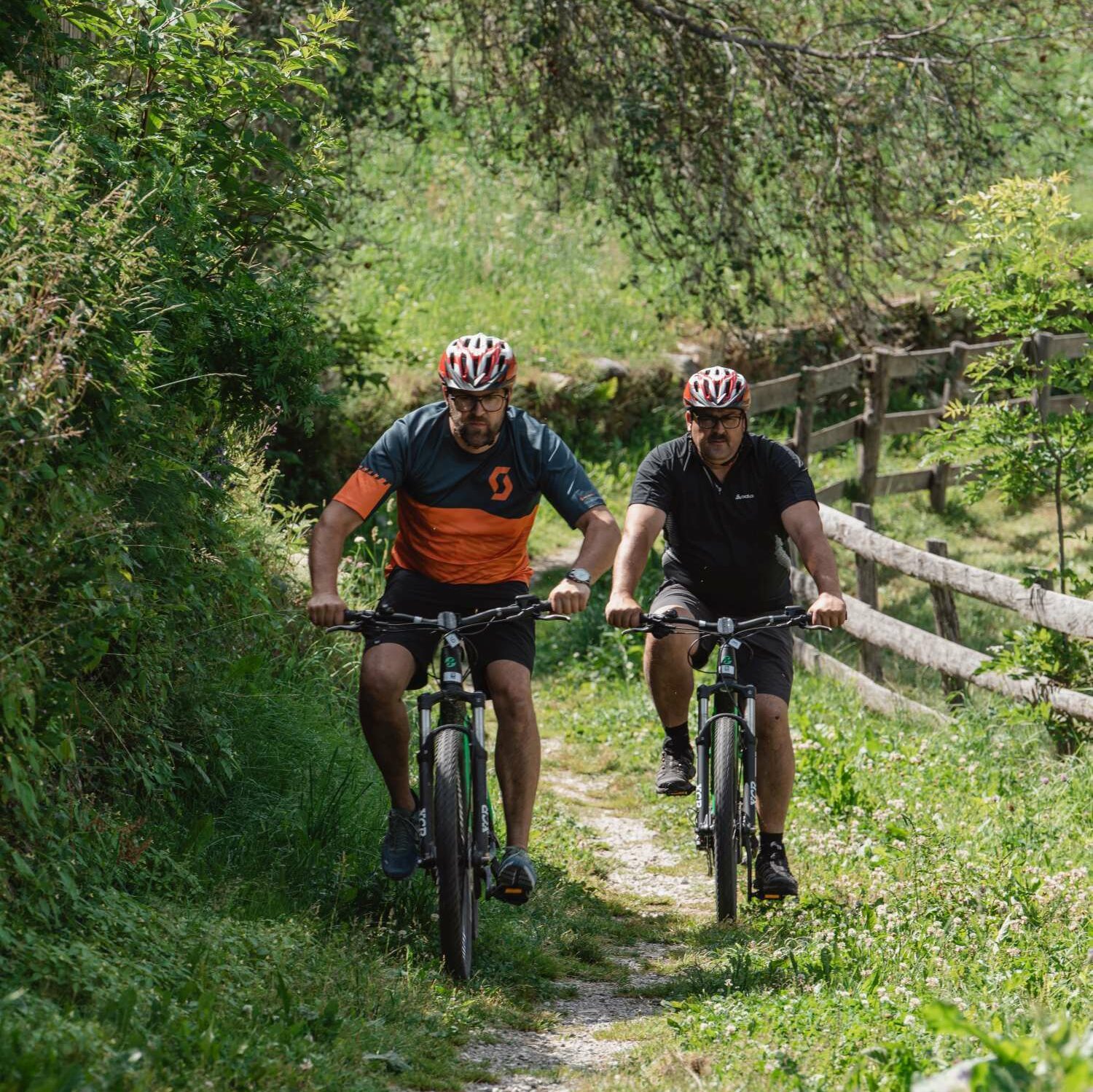 Radeln in Südtirol