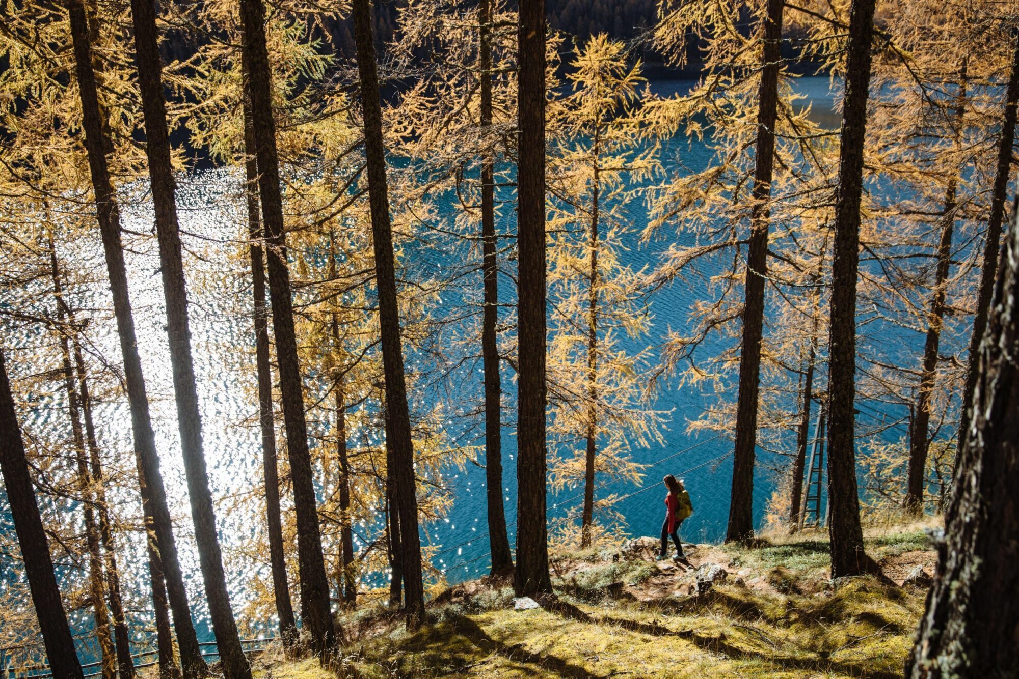 Tonzhaus Herbstwandern