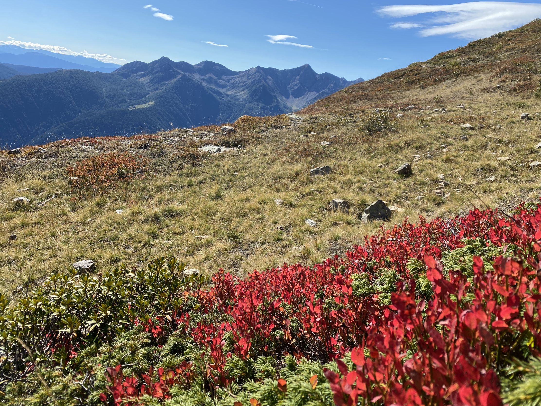 Ultental Wandern