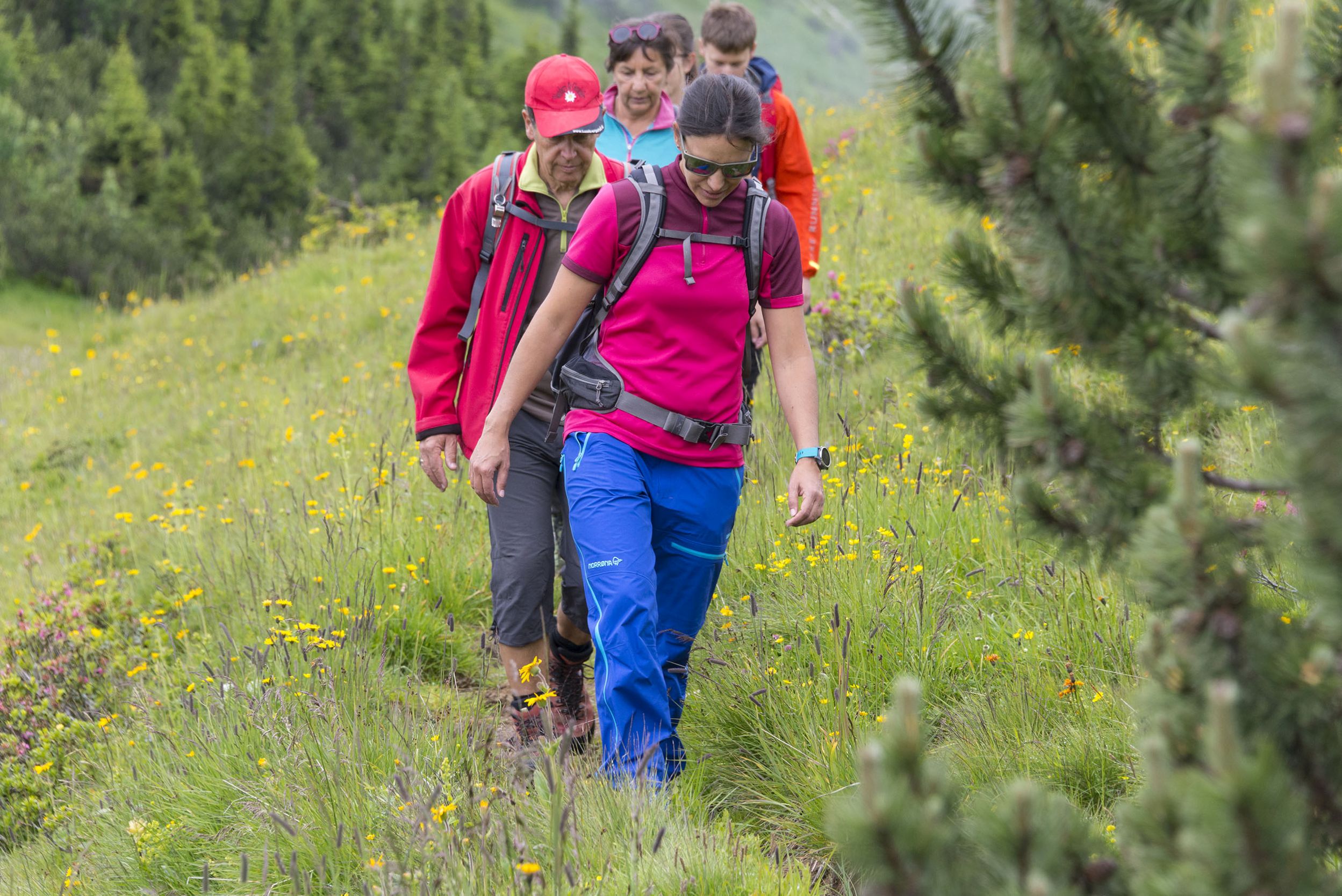 Tannheimer Tal Wandern