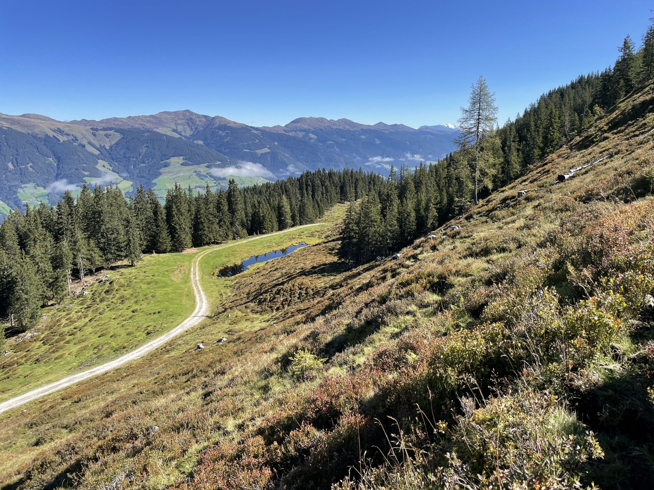 Wandern Poelsenalm