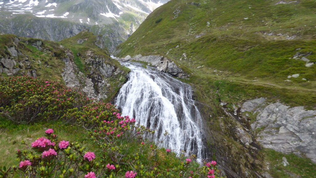 Ein Wasserfall in den Bergen umrahmt von blühendem Almrausch in pinkrot