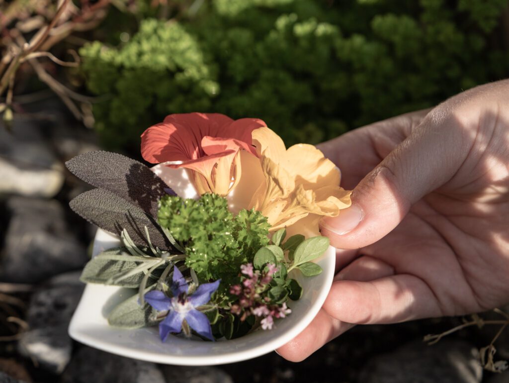 Ein Teller voller bunter Kräuter aus dem Kräutergarten des Natur- und Wellnesshotels Gassner