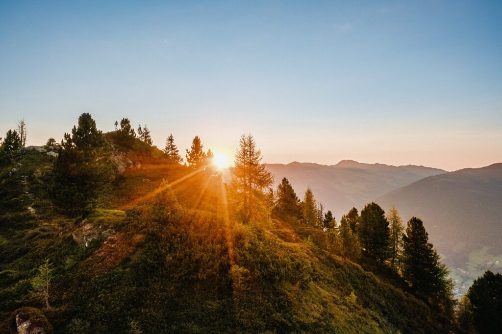 Sonnenaufgang. Sonne strahlt gelb hinter Tannenwipfeln hervor. In den österreichischen Alpen
