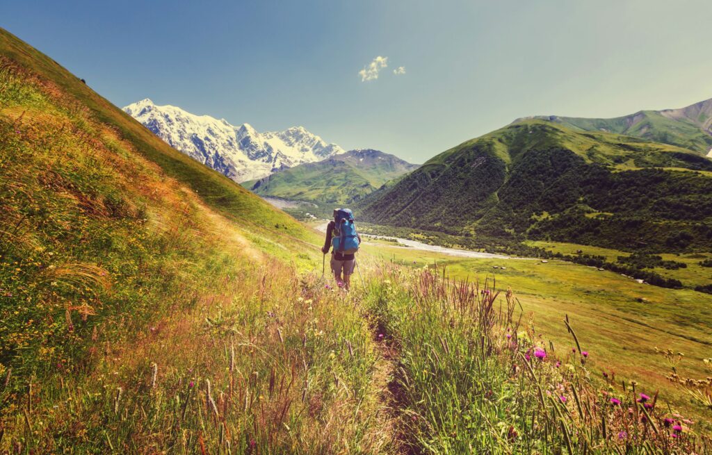 Ein Mann wandert mit Rucksack auf einem schmalen Weg über eine sommerliche, alpine Blumenwiese. Vor ihm liegen schneebedeckte Berge.