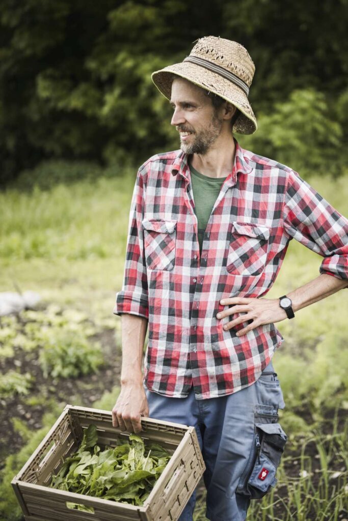 Ein Mann mit Hut und kariertem Hemd steht auf einem Gemüsefeld mit einer Holzkiste voller Salat in der Hand
