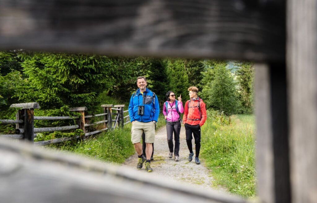 Hans Steffner-Wallner als Wanderführer mit zwei Gästen auf einem Schotterweg