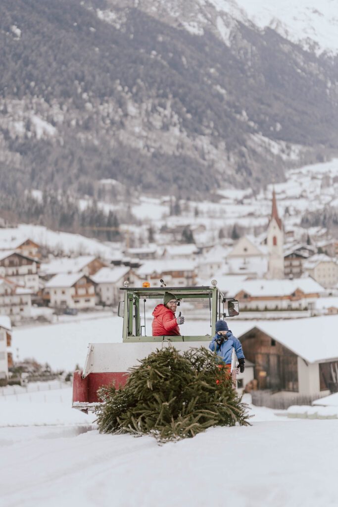 Winterliches Familienabenteuer im Antholzer Tal, Südtirol: Ein Vater und sein Kind bringen mit dem Traktor einen frisch geschnittenen Weihnachtsbaum nach Hause