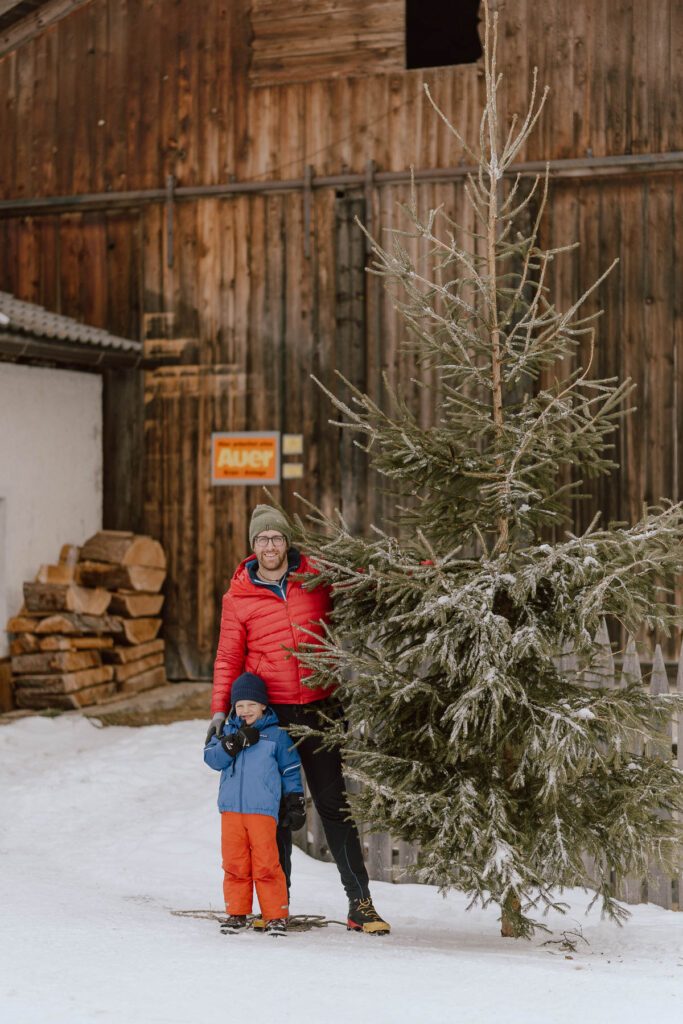 Winterliches Familienabenteuer im Antholzer Tal, Südtirol: Ein Vater und sein Kind bringen einen frisch geschnittenen Weihnachtsbaum nach Hause ins Wanderhotel Vierbrunnenhof