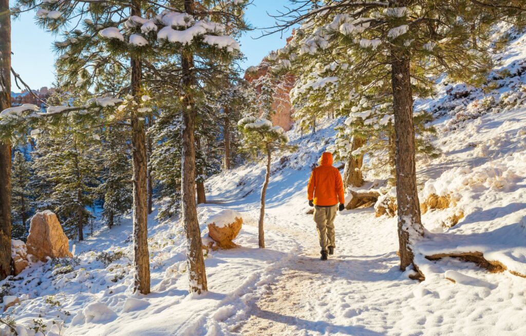 Winterwanderer geht bei Sonnenschein durch einen lichten Wald