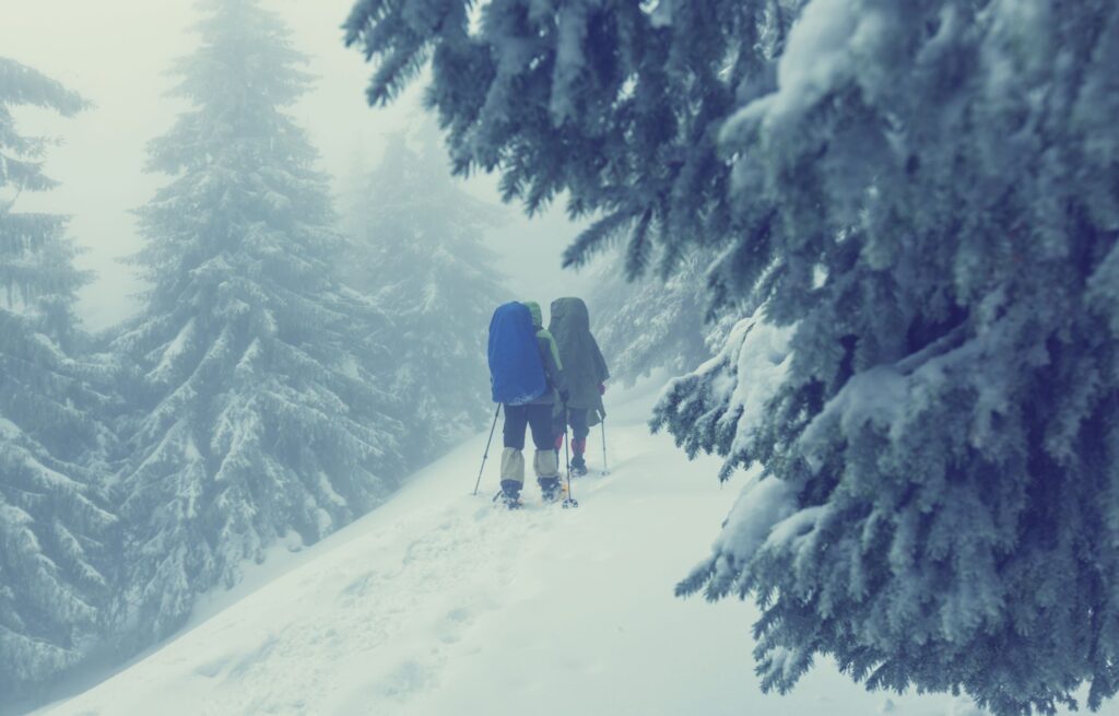 Winterwanderer gehen durch einen nebligen Wald