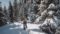 Schneeschuhwandern in Osttirol im Nationalpark Hohe Tauern mit dem Wanderhotel Naturhotel Outside(c)TVB Osttirol - NPHT -Maybach Robert