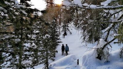 Zwei Menschen wandern durch einen winterlichen Wald(c)Tanja Santer