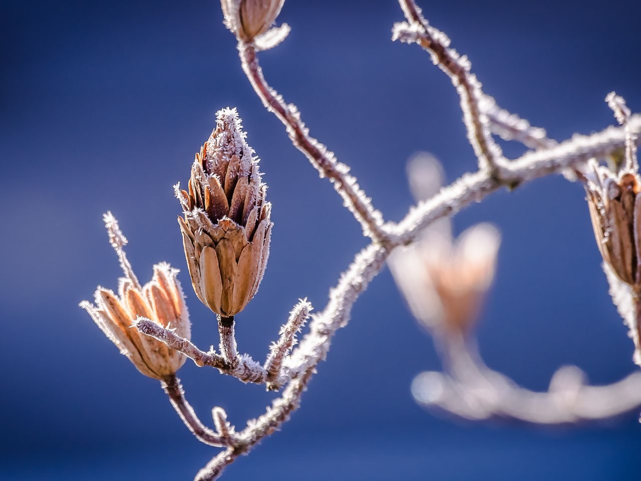Winterurlaub ohne Schnee?