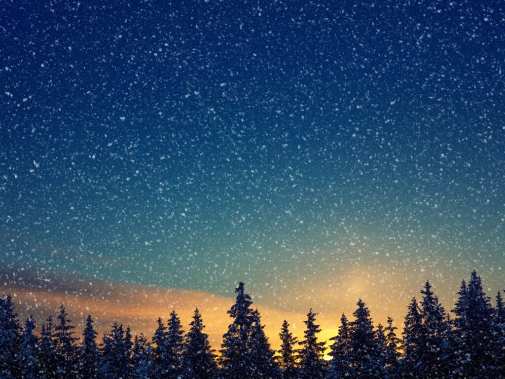 Sternenhimmel über winterlichem Wald