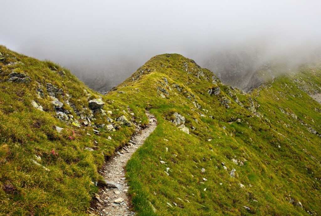 Schmaler Wanderweg über eine Almwiese, der im Nebel mündet