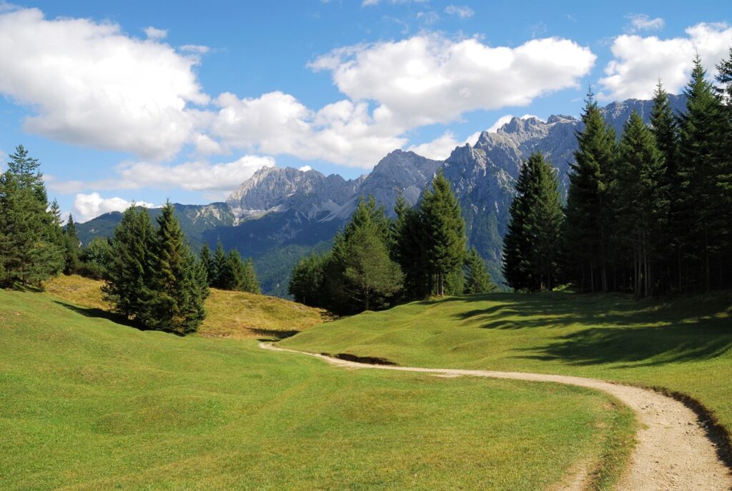 Breiter Wanderweg über eine flache Almwiese