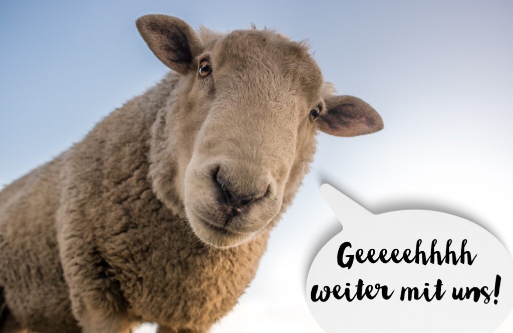 Schaf mit Sprechblase: Geeeehhh weiter mit uns