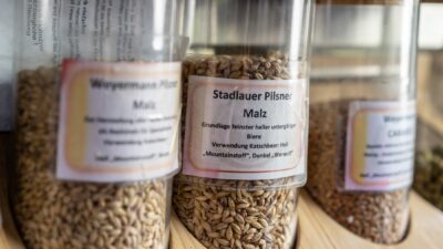 Getreidesorten für das Brauen von Katsch Beer am Katschberg, Kärnten(c) Carolin Thiersch