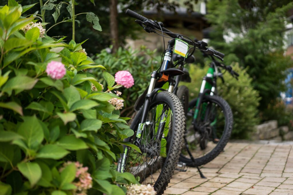 Biken wird im Hotel Alte Post in Großarl geliebt und gelebt.