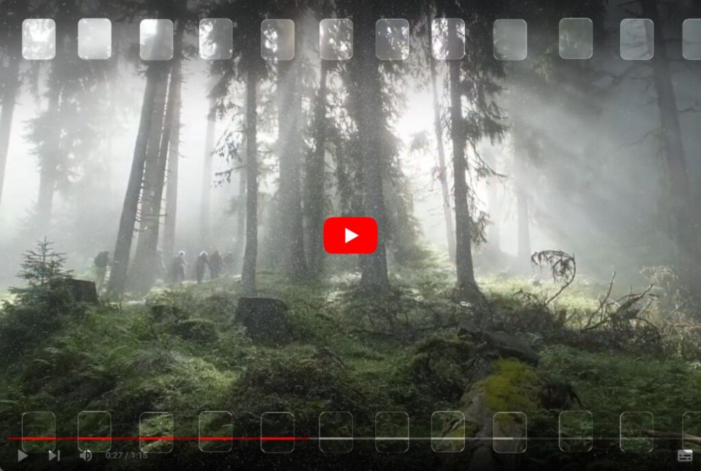 Video zur Wildtierbeobachtung im Obersulzbachtal - Wellness- und Wanderhotel Gassner
