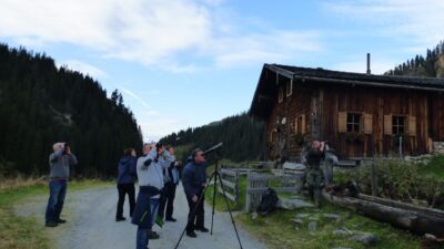 Wildtierbeobachtung mit Hans-Peter Gassner vom Wellness- und Wanderhotel Gassner im Nationalpark Hohe Tauern© Wellness- & Wanderhotel Gassner