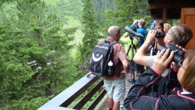 Wildtierbeobachtung mit Hans-Peter Gassner vom Wellness- und Wanderhotel Gassner im Nationalpark Hohe Tauern© Wellness- & Wanderhotel Gassner