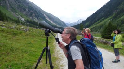 Wildtierbeobachtung mit Hans-Peter Gassner vom Wellness- und Wanderhotel Gassner im Nationalpark Hohe Tauern© Wellness- & Wanderhotel Gassner