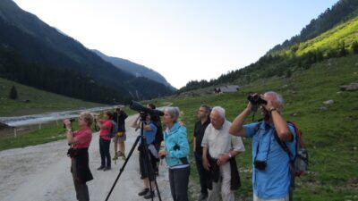 Wildtierbeobachtung mit Hans-Peter Gassner vom Wellness- und Wanderhotel Gassner im Nationalpark Hohe Tauern© Wellness- & Wanderhotel Gassner
