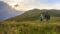 Wandern auf der Gailtaler Mussen in Kärnten bedeutet farbenfrohe und sanfte Bergwiesen© Martin Lugger