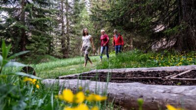 Barfußweg auf der Kuschelalm vom Wanderhotel Das Katschberg in Kärnten, Österreich© Carolin Thiersch